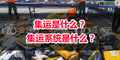 集運(yùn)是什么？ 集運(yùn)系統(tǒng)是什么？